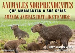 Amazing Animals - Bilingual